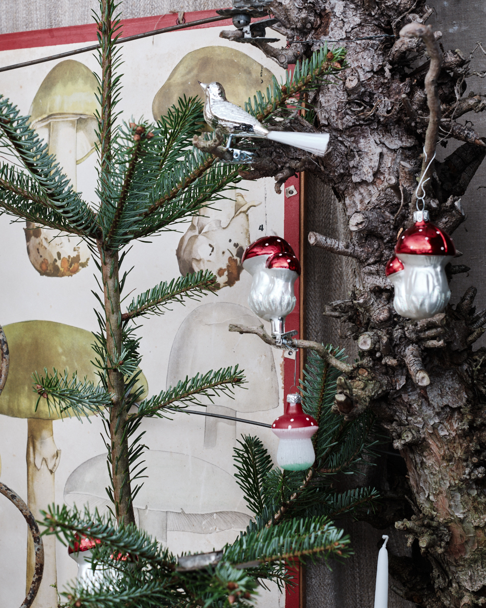 Bilder von unserer Adventsausstellung 2024