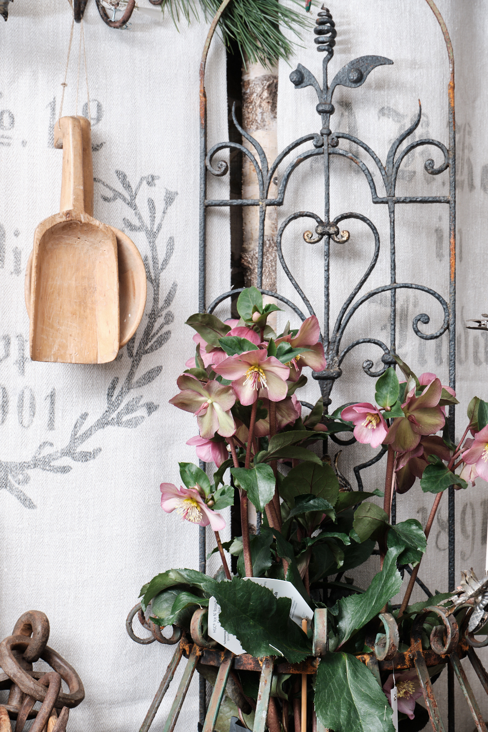 Bilder von unserer Adventsausstellung 2024