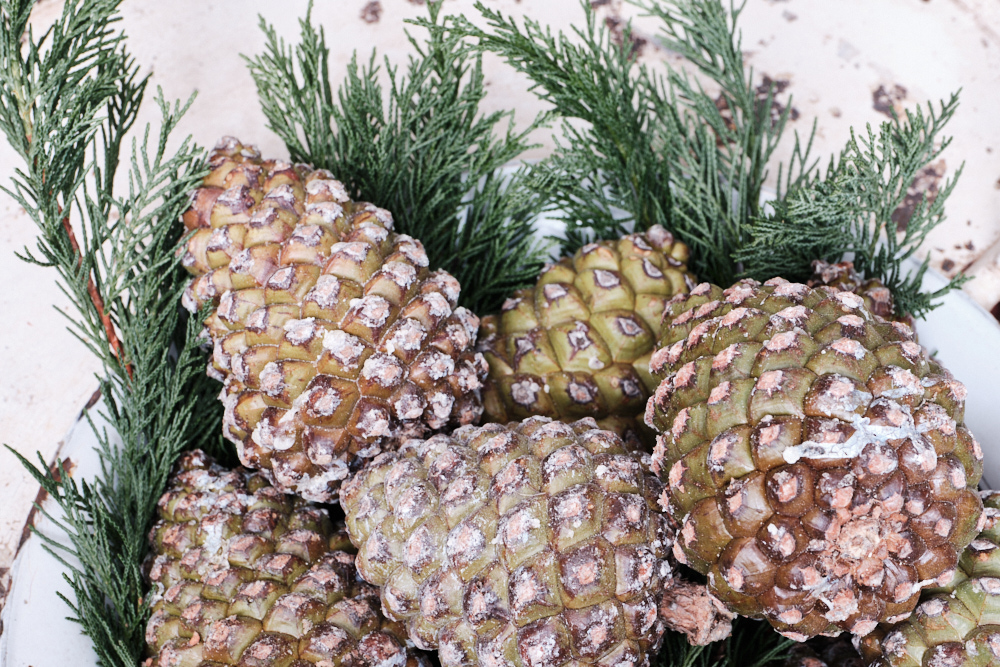 Bilder von unserer Adventsausstellung 2024